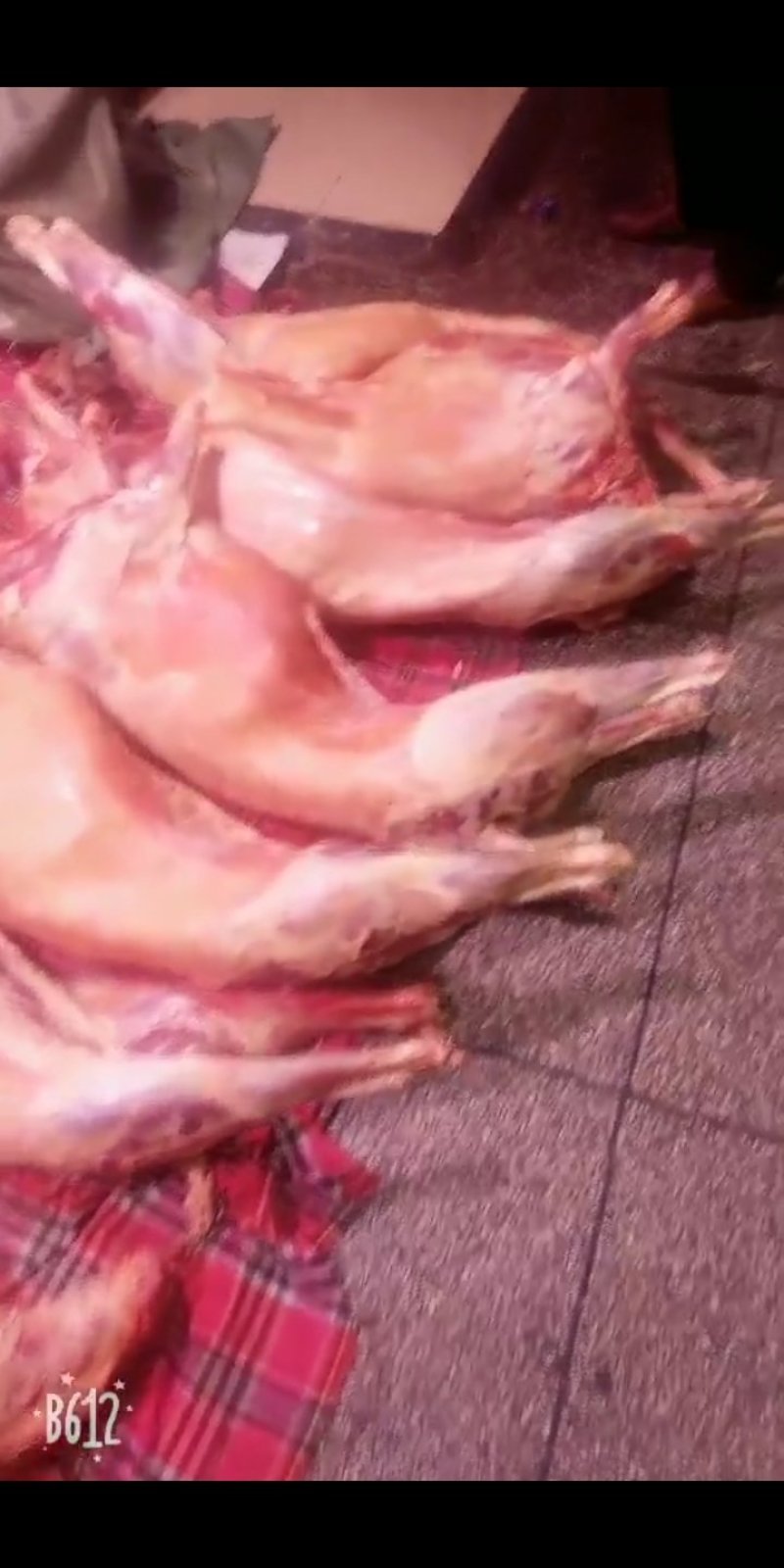 羊肉