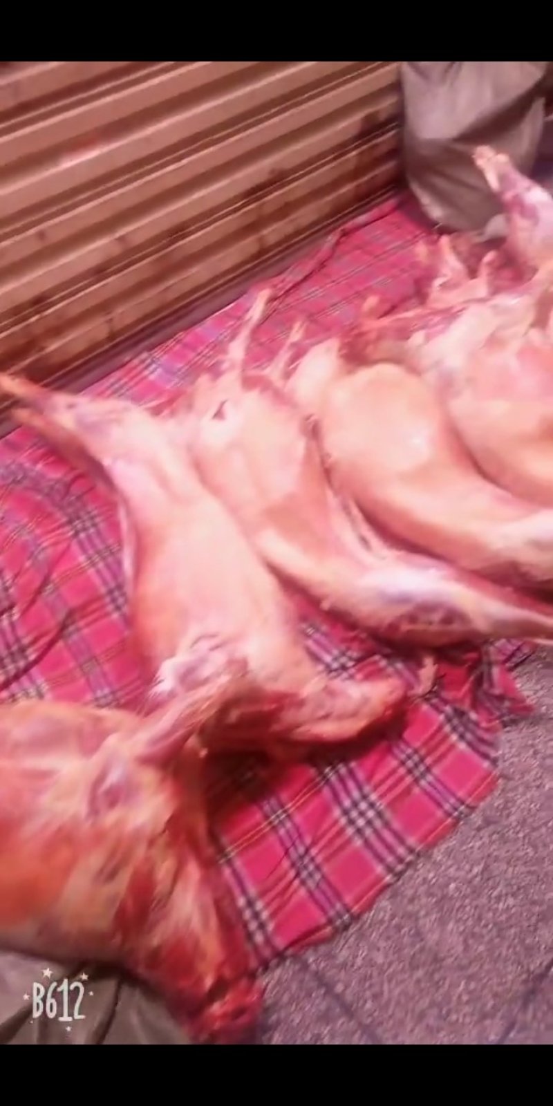 羊肉