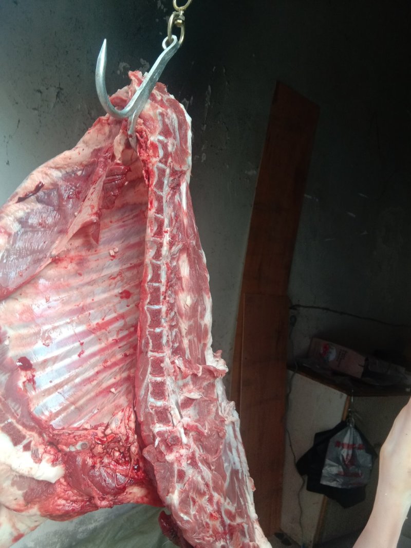 羊肉