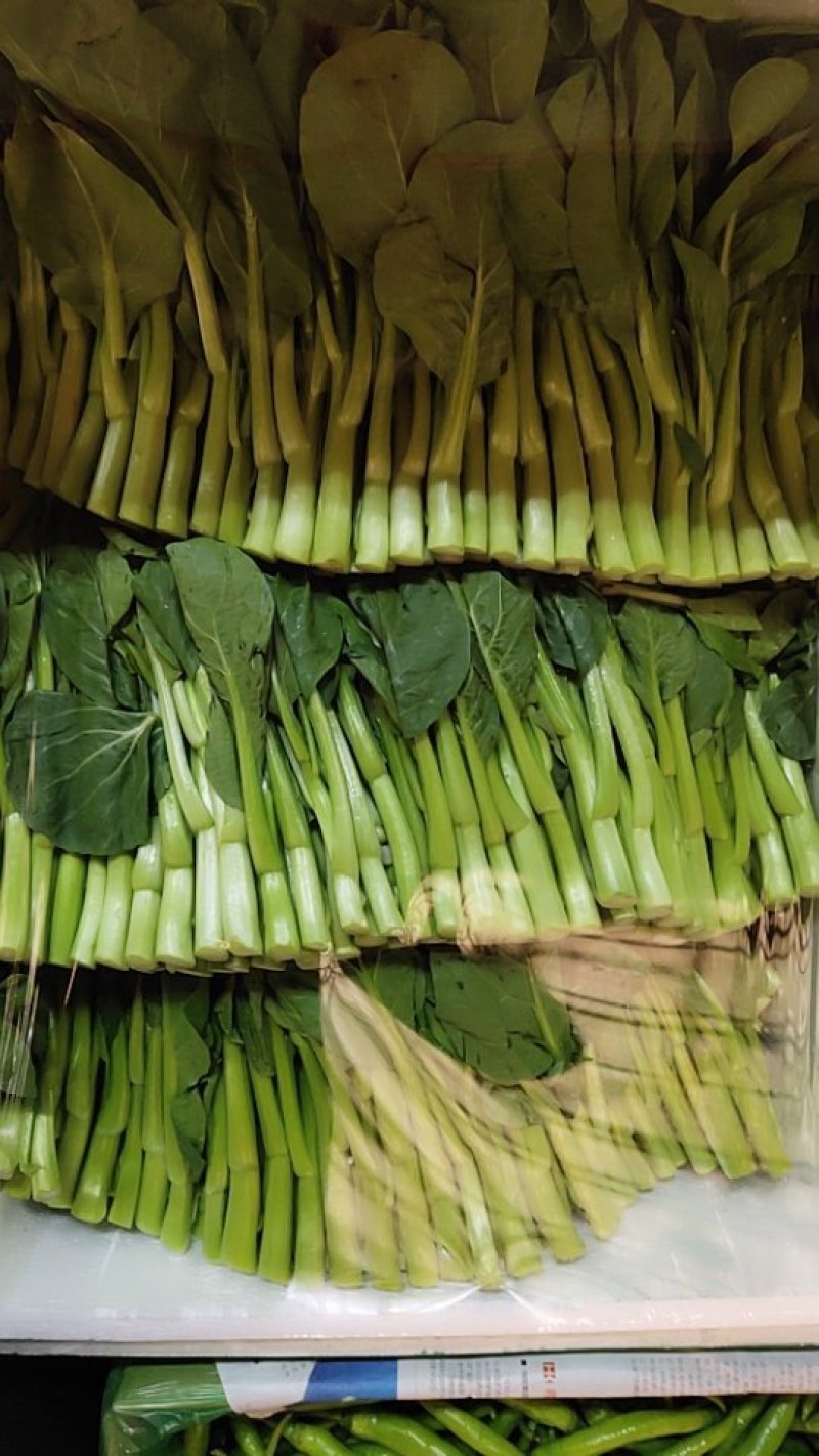 广东菜心