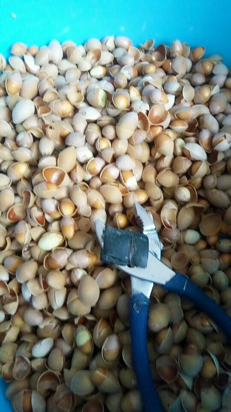 农副/副食白果仁
