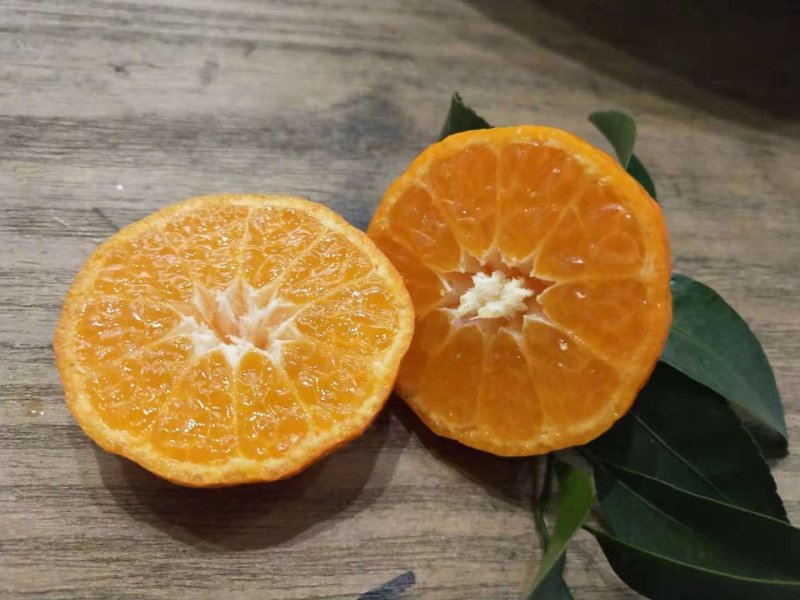 桂林沙糖桔