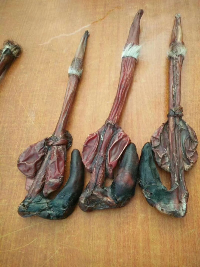 东北大鹿鞭