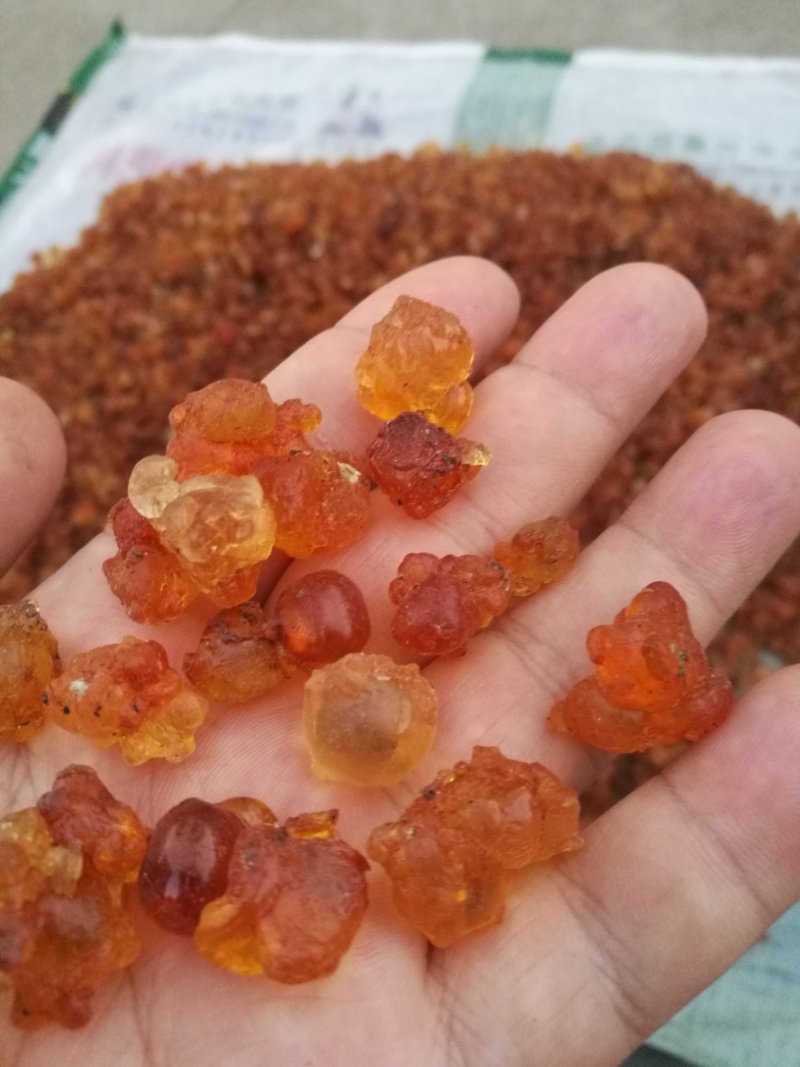 桃胶无锡阳山水蜜桃桃胶纯黄