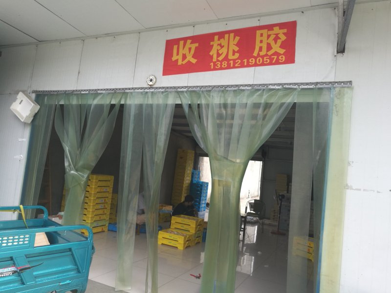 桃胶无锡阳山水蜜桃桃胶纯黄