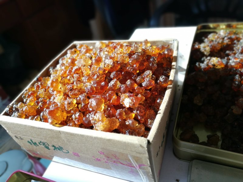 桃胶无锡阳山水蜜桃桃胶纯黄