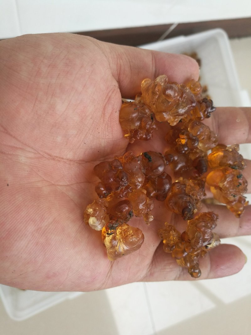 桃胶无锡阳山水蜜桃桃胶纯黄