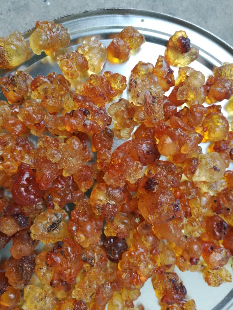 桃胶无锡阳山水蜜桃桃胶纯黄