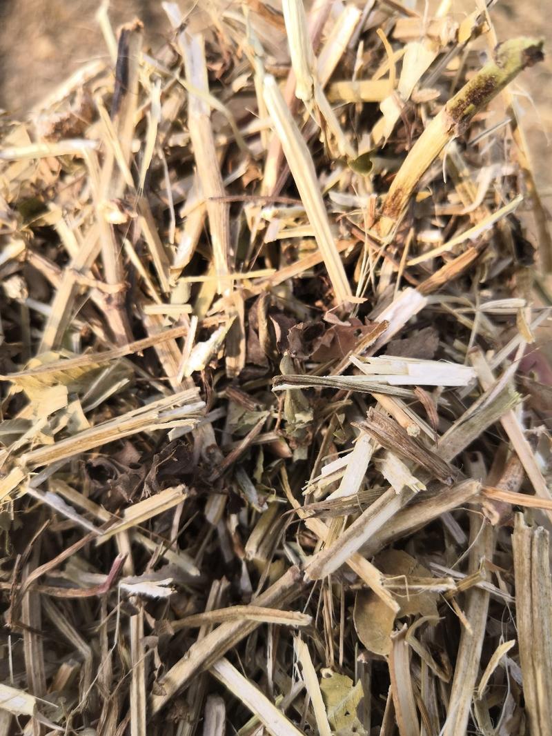 花生秧草粉麦秸豌豆秧过滚筒筛无土无膜无霉变可常年供应