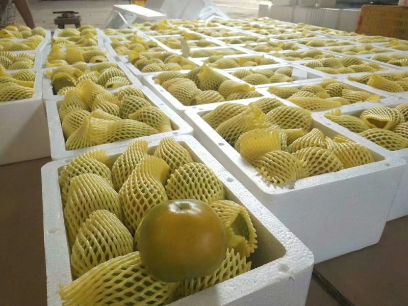 恭城脆柿、柿饼