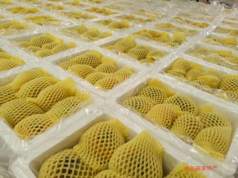 恭城脆柿、柿饼
