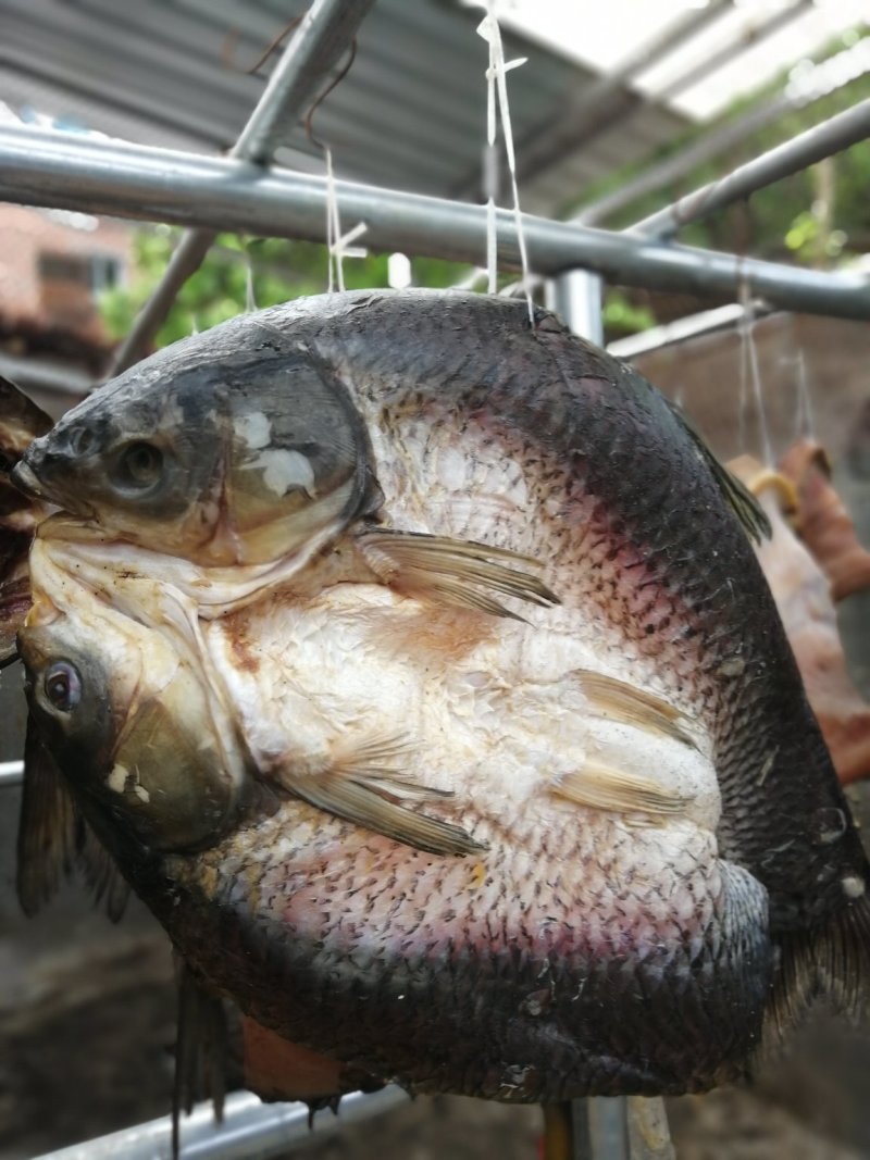 腊鱼