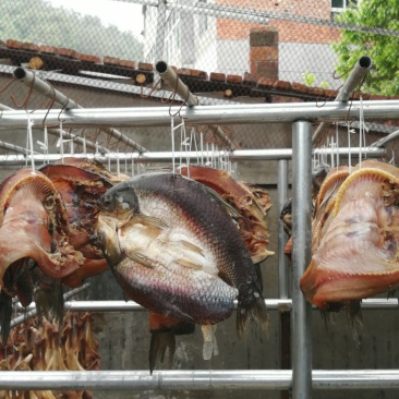腊鱼