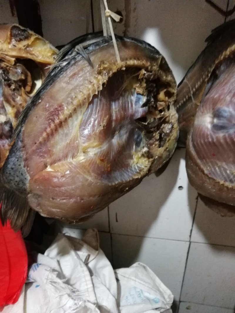 腊鱼