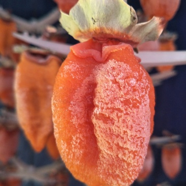 柿饼