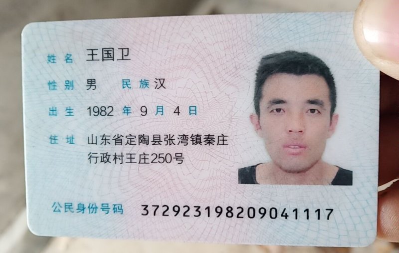 矮化占地桃树苗