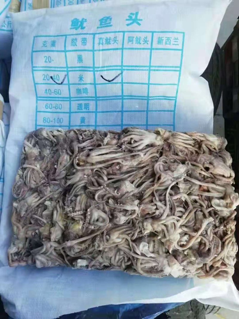 20-40克阿鱿头