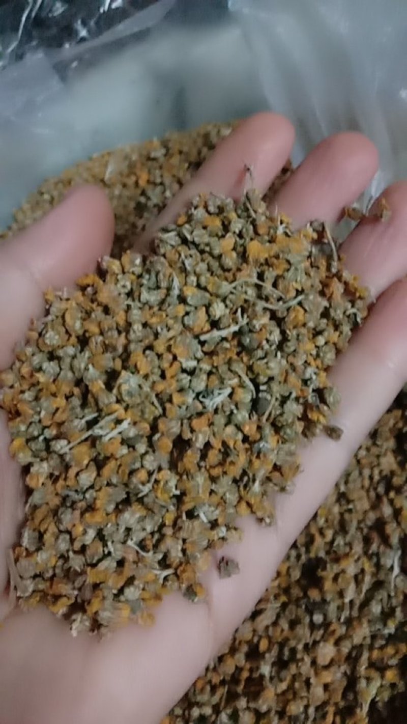 野菊花全干货，含量高，1.3以上，有大货，需要的老板联系