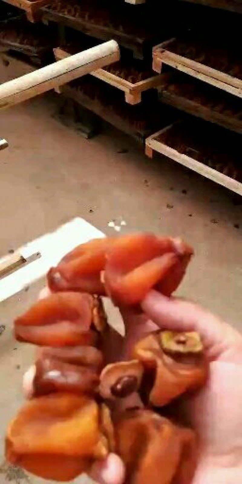 吊饼广西桂林平乐县沙子镇产地直供质量柿饼吊饼