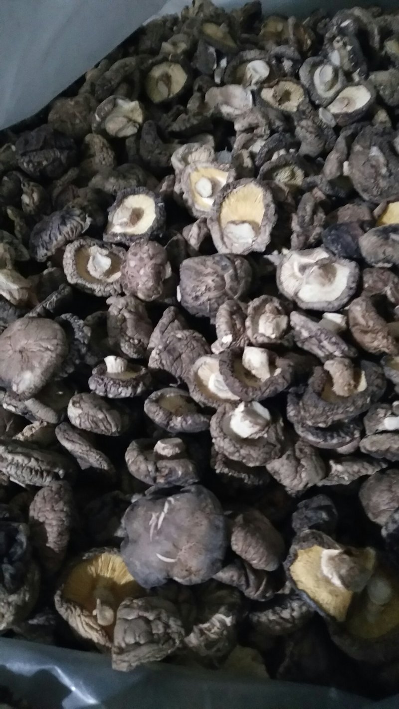 冬菇，产地直销品种齐全