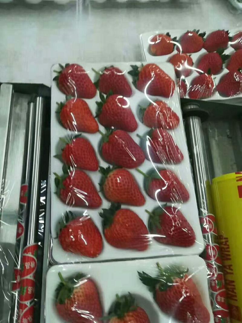 杠三草莓，甜查理草莓，大量上市了