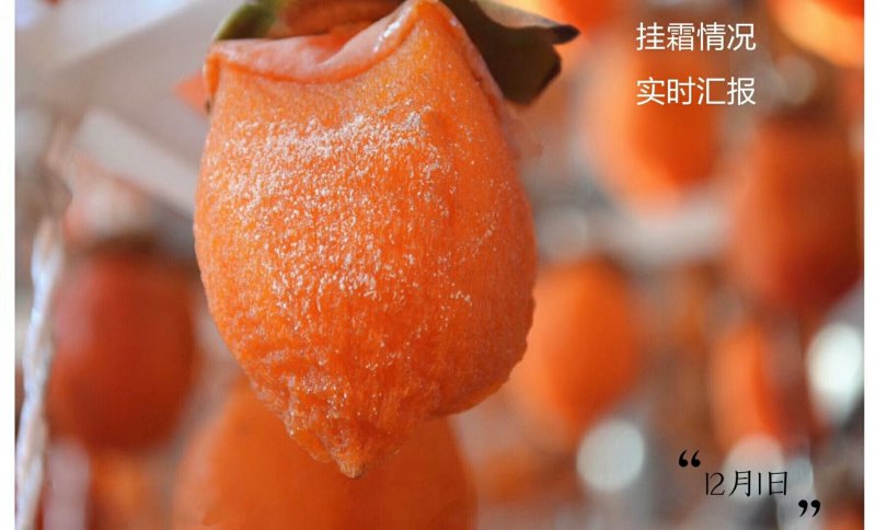 富平柿饼