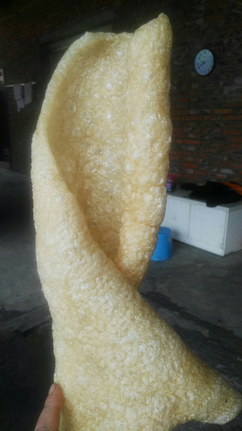 干猪皮