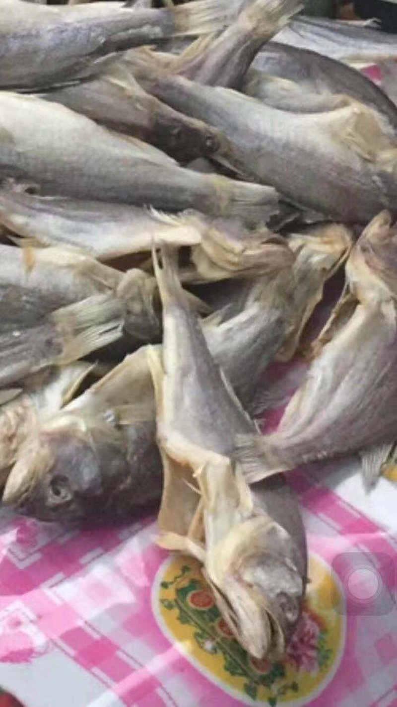 鲈鱼干，淡干，无头鱼干配发价格实惠