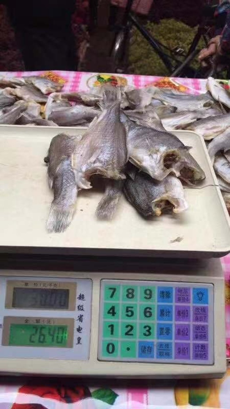 鲈鱼干，淡干，无头鱼干配发价格实惠
