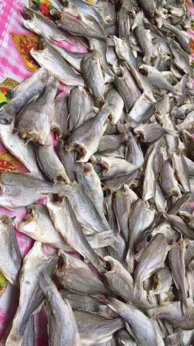 鲈鱼干，淡干，无头鱼干配发价格实惠