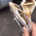 鲈鱼干，淡干，无头鱼干配发价格实惠