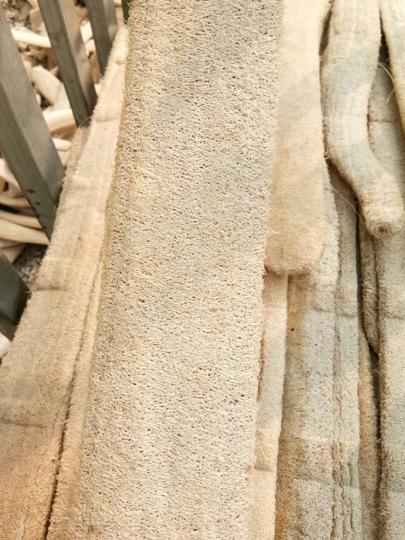 丝瓜络