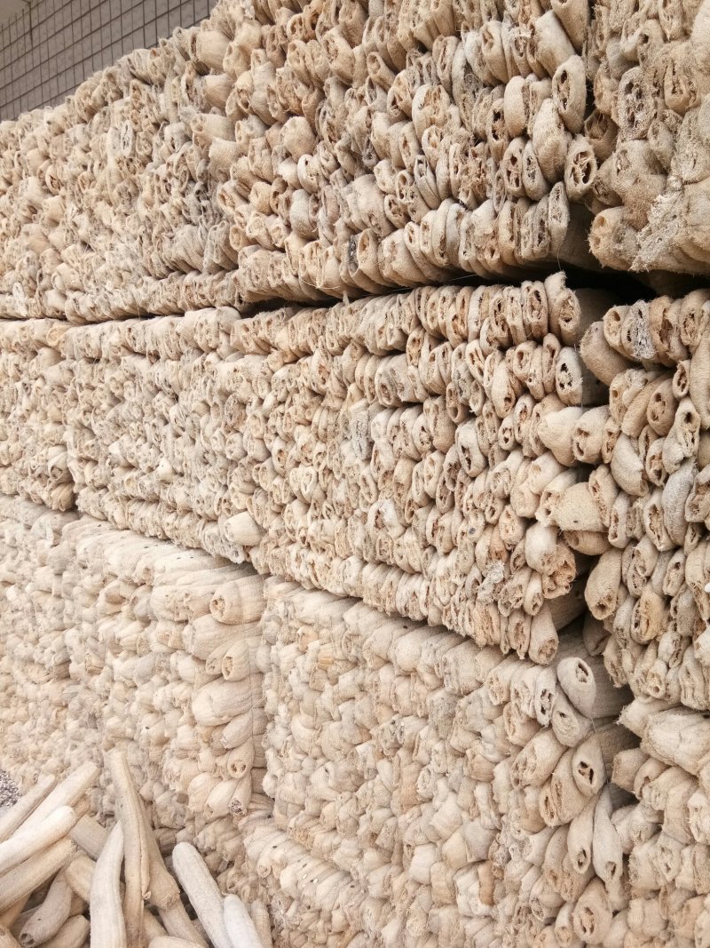 丝瓜络