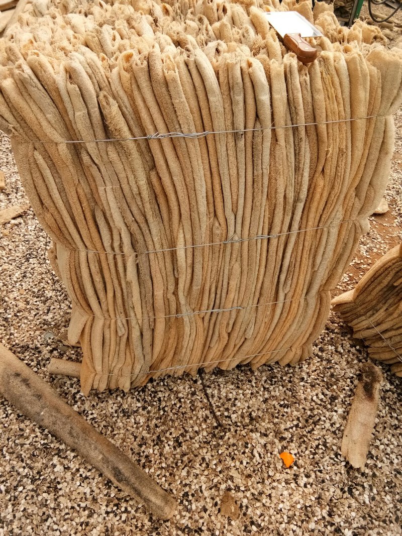 丝瓜络