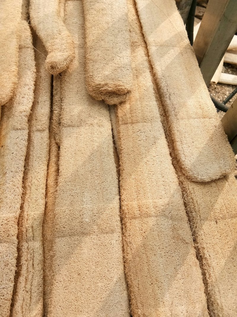 丝瓜络