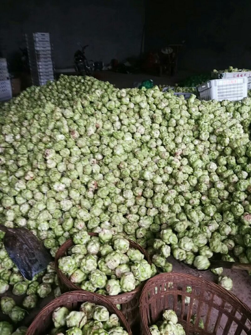 榨菜