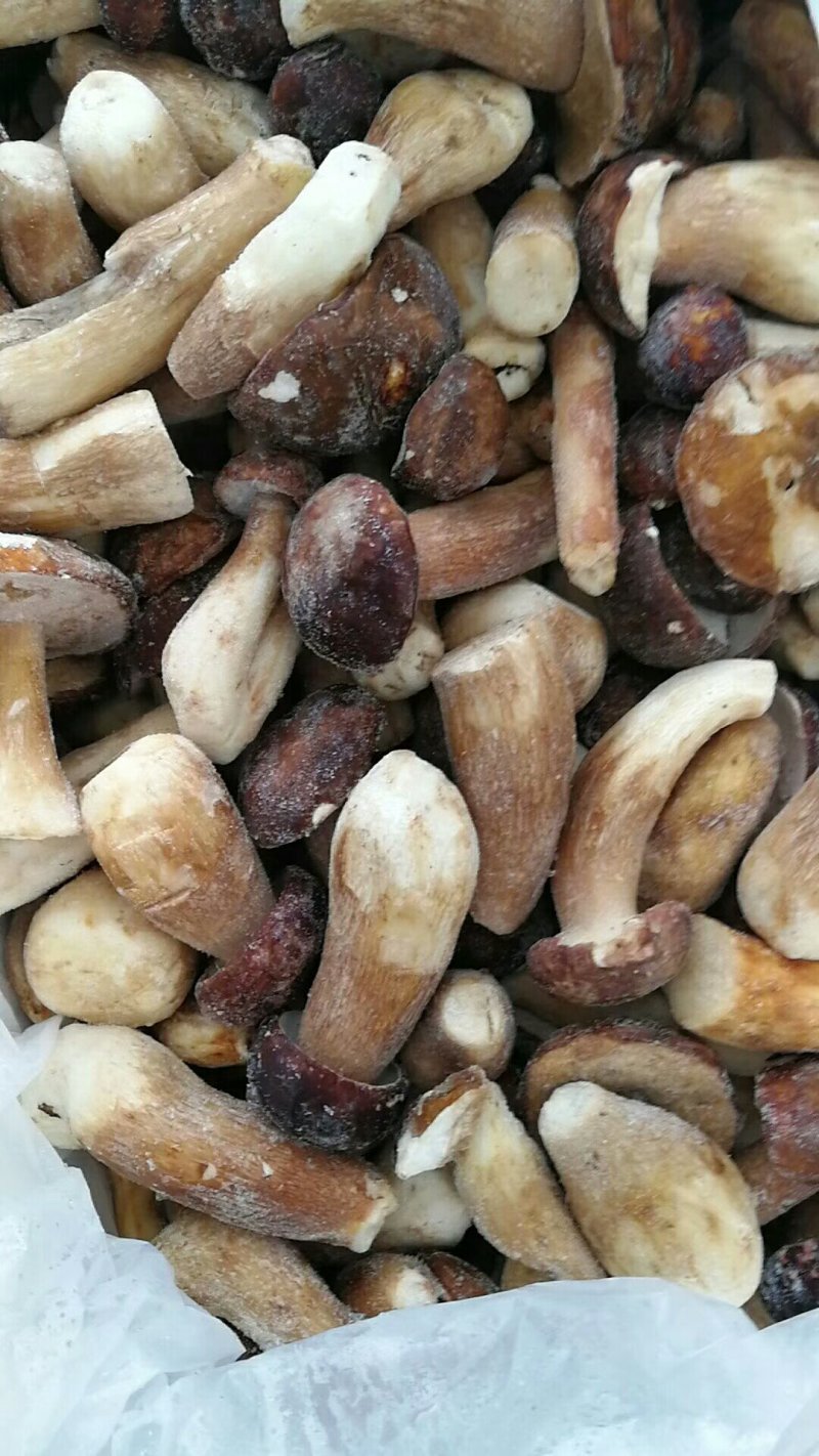 牛肝菌美味牛肝菌（冰冻）