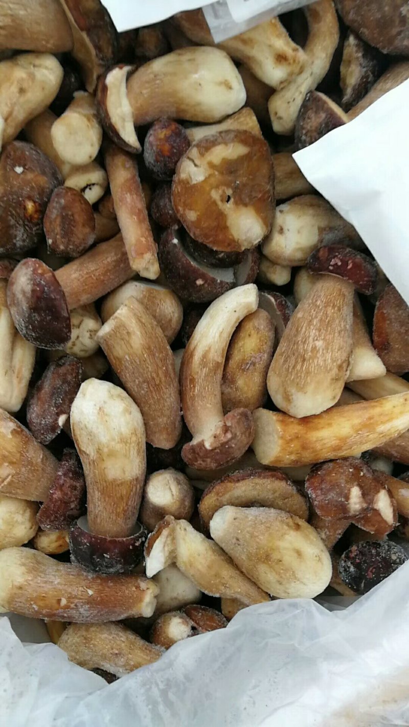 牛肝菌美味牛肝菌（冰冻）