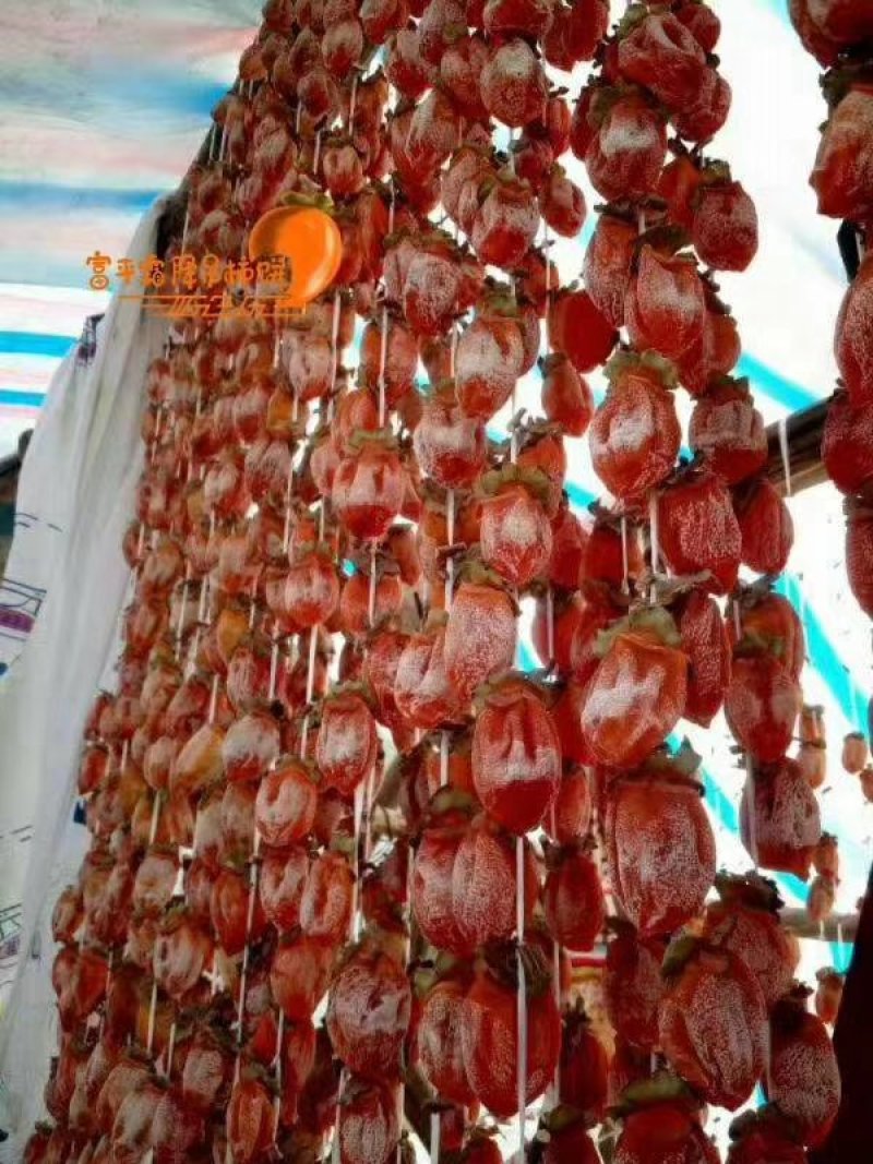 正宗富平柿饼批零兼售