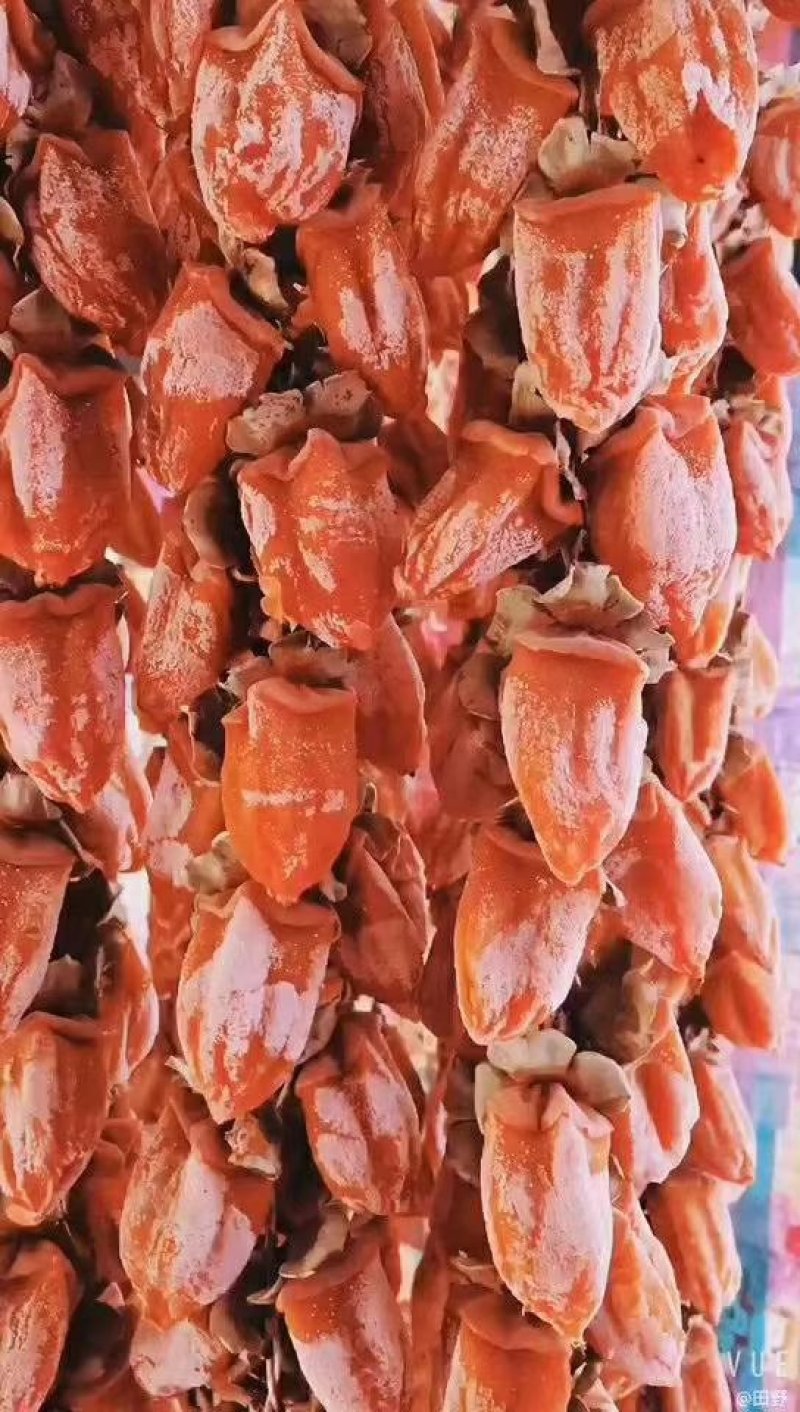 正宗富平柿饼批零兼售