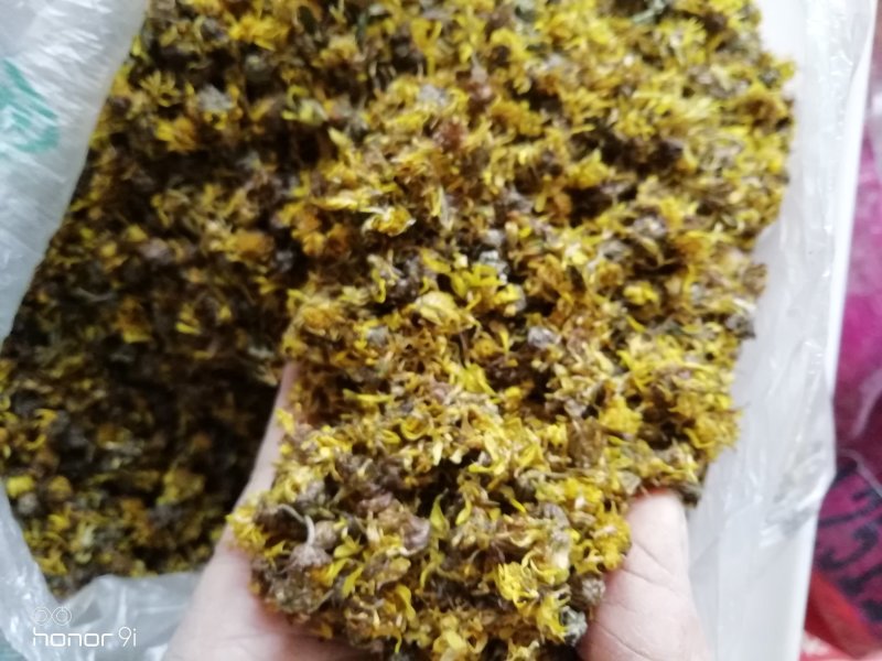 野菊花，贵州遵义绥阳县太白镇，干统货18元一斤包邮