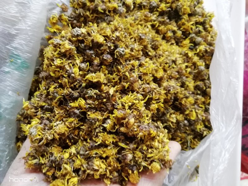 野菊花，贵州遵义绥阳县太白镇，干统货18元一斤包邮