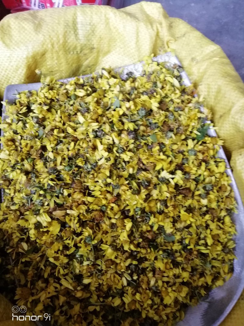 野菊花，贵州遵义绥阳县太白镇，干统货18元一斤包邮