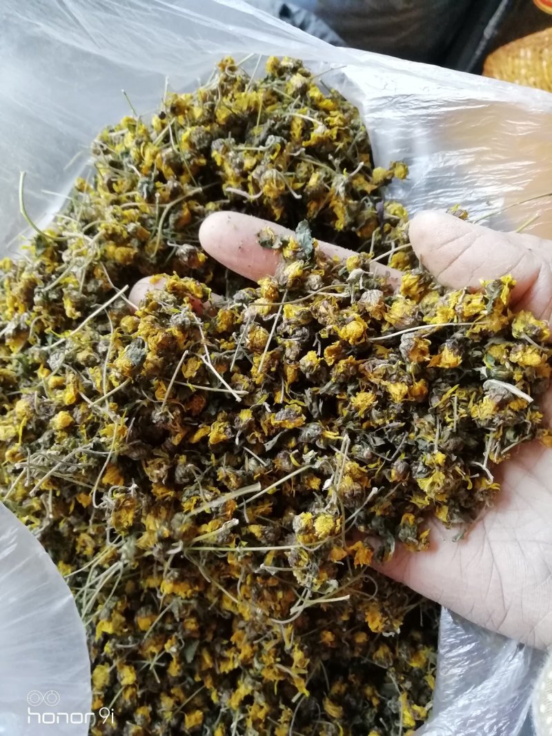 野菊花，贵州遵义绥阳县太白镇，干统货18元一斤包邮