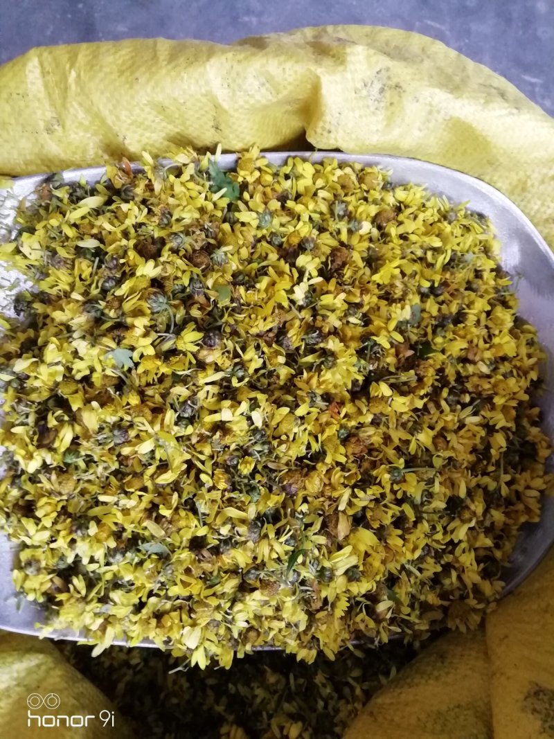 野菊花，贵州遵义绥阳县太白镇，干统货18元一斤包邮