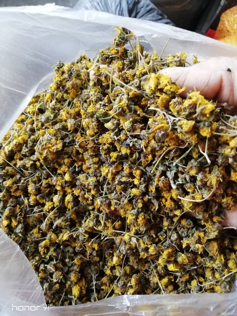 野菊花，贵州遵义绥阳县太白镇，干统货18元一斤包邮