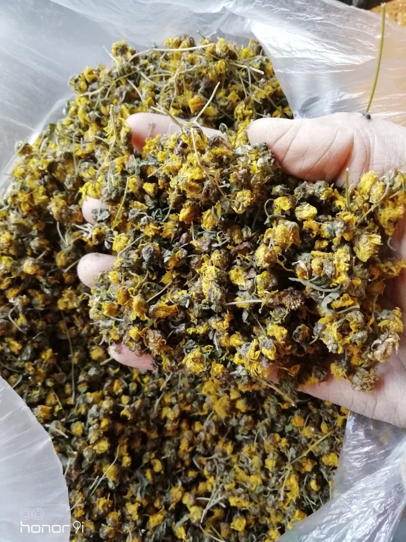 野菊花，贵州遵义绥阳县太白镇，干统货18元一斤包邮