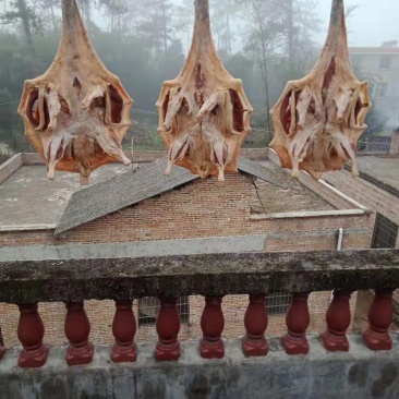 腊鸭