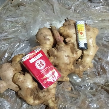 广西贺州南乡大肉生姜