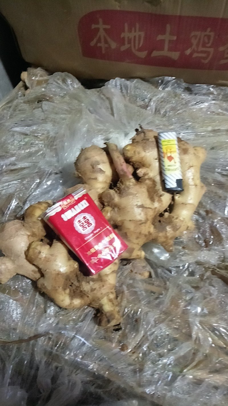 广西贺州南乡大肉生姜
